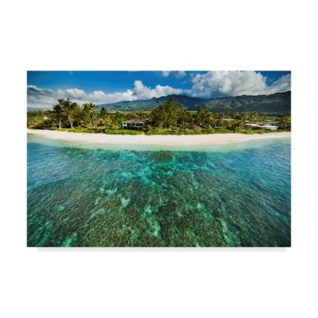Trademark Fine Art Cameron Brooks 'North Shore Reef' Canvas Art, 12x19 ALI40469-C1219GG